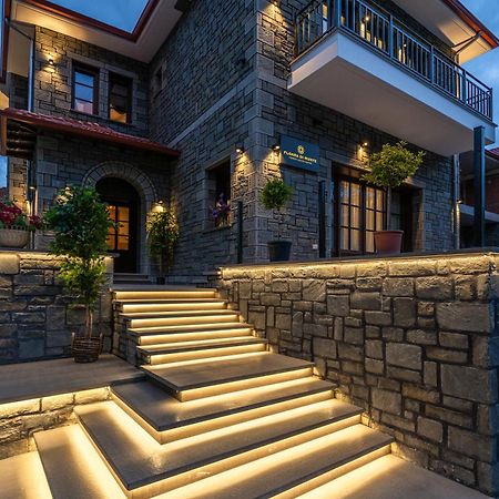 Floara Di Munte Forest Luxury Suites Metsovo Exterior photo