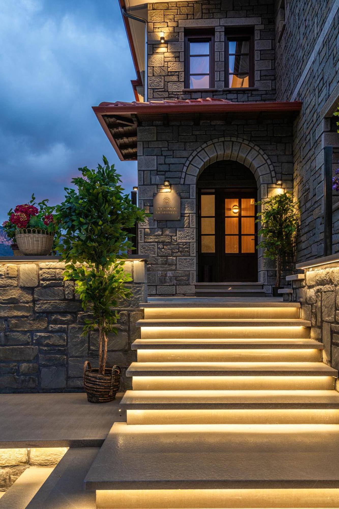 Floara Di Munte Forest Luxury Suites Metsovo Exterior photo