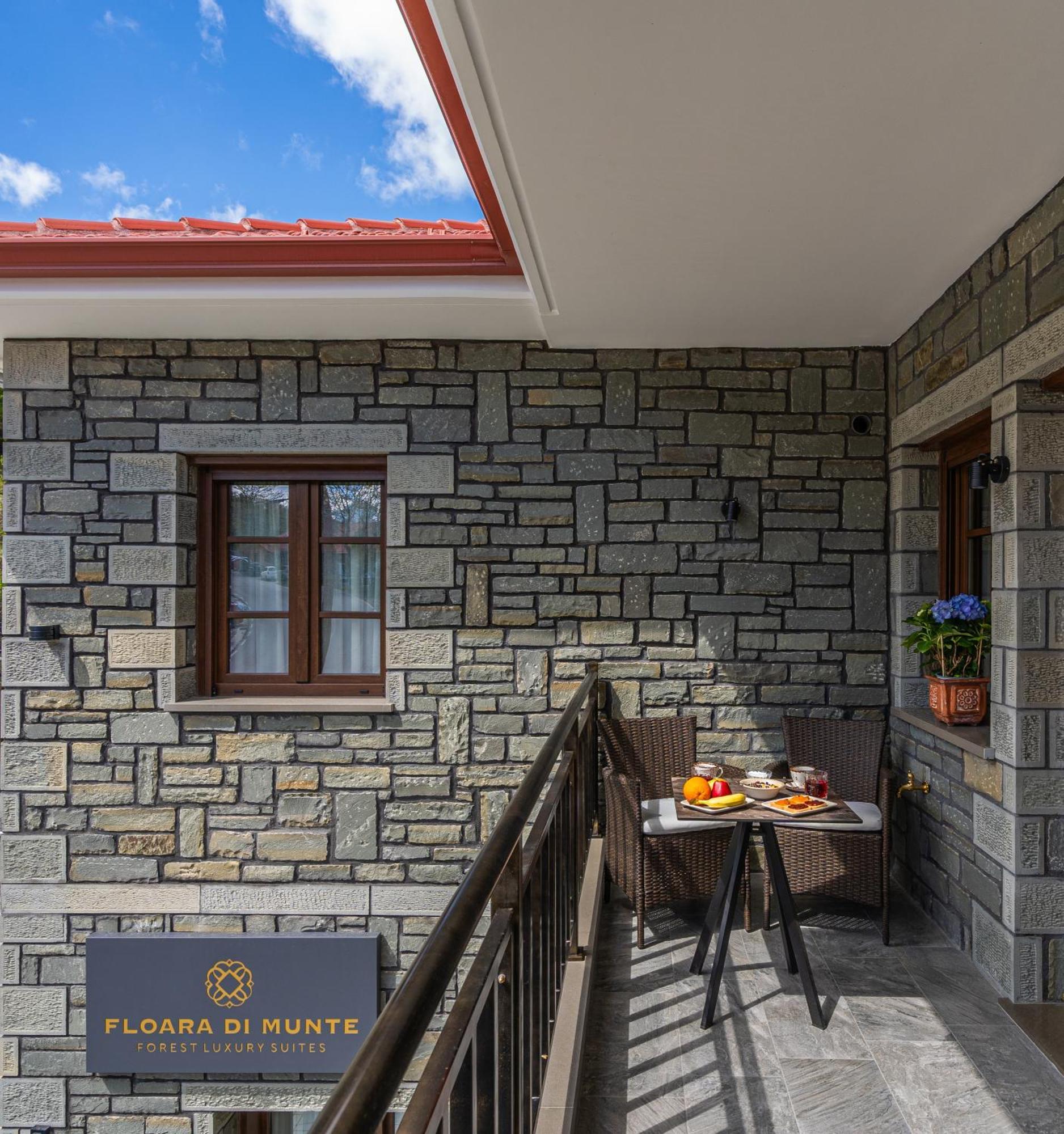 Floara Di Munte Forest Luxury Suites Metsovo Exterior photo