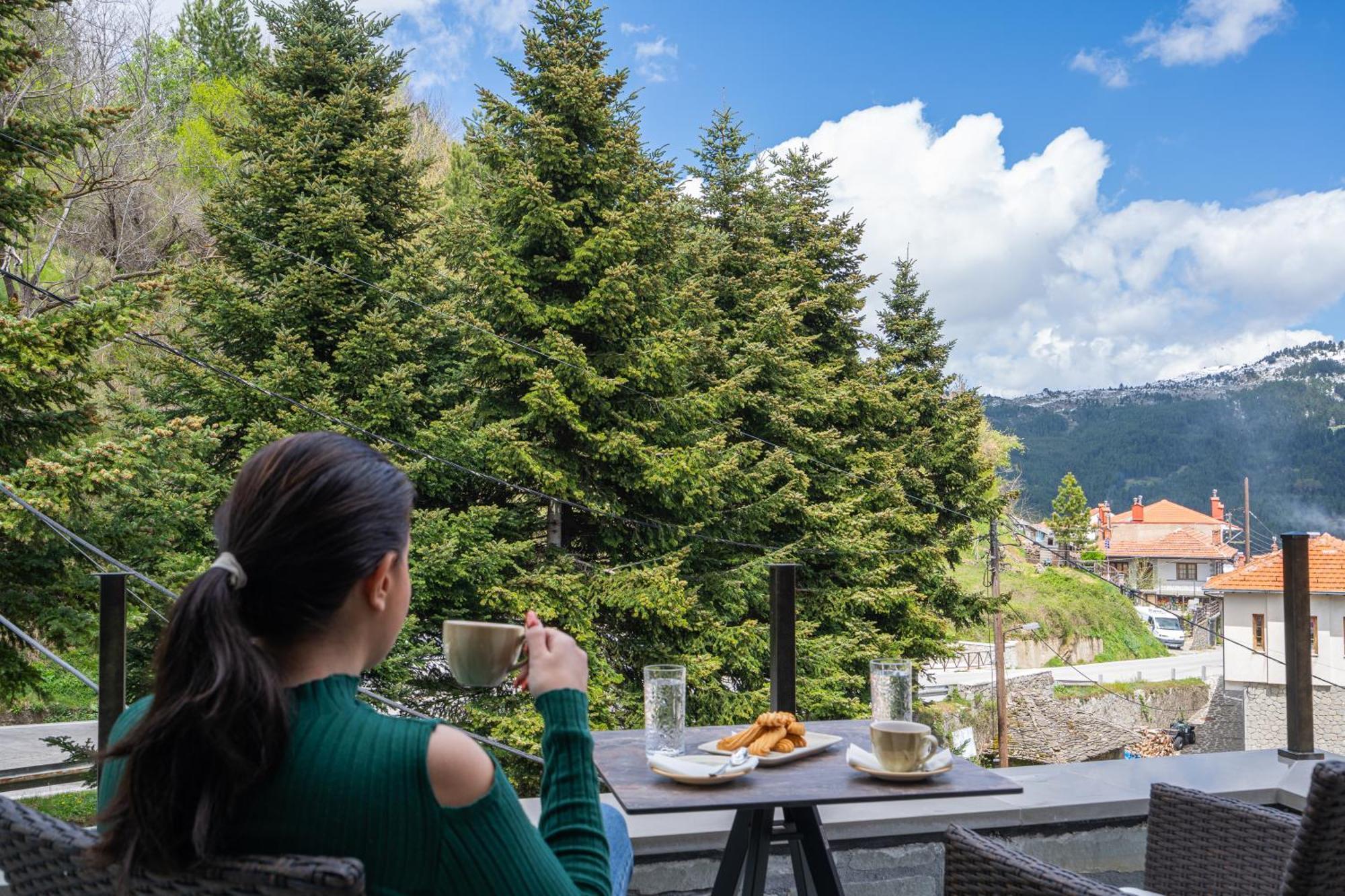 Floara Di Munte Forest Luxury Suites Metsovo Exterior photo